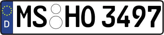 MS-HO3497