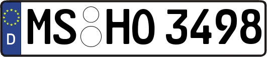 MS-HO3498