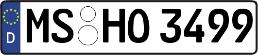 MS-HO3499