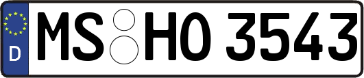 MS-HO3543