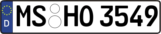 MS-HO3549