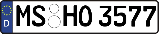 MS-HO3577