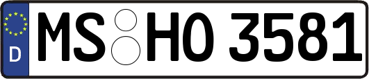 MS-HO3581