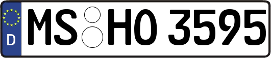 MS-HO3595