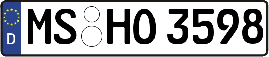 MS-HO3598