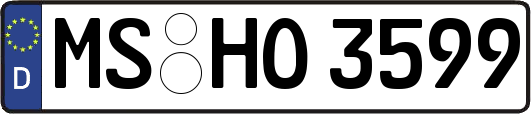 MS-HO3599