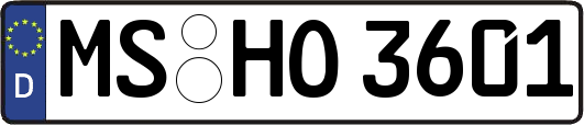 MS-HO3601