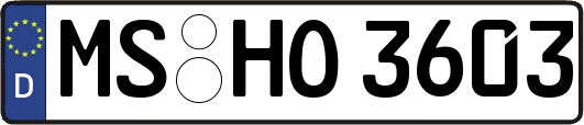 MS-HO3603