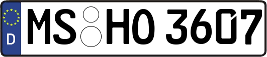 MS-HO3607