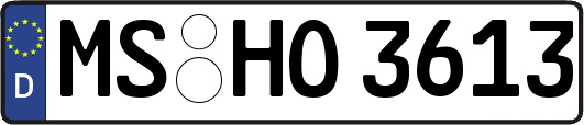 MS-HO3613