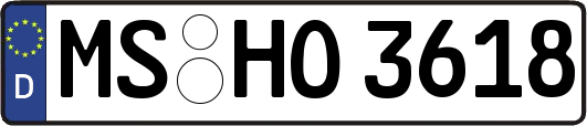 MS-HO3618