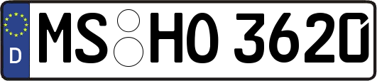 MS-HO3620