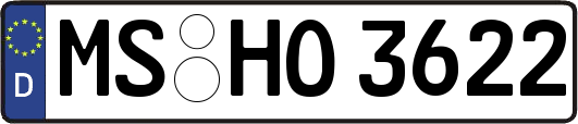 MS-HO3622