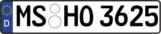 MS-HO3625