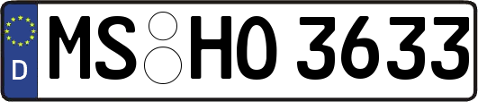 MS-HO3633