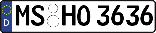 MS-HO3636