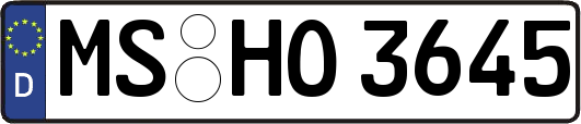 MS-HO3645
