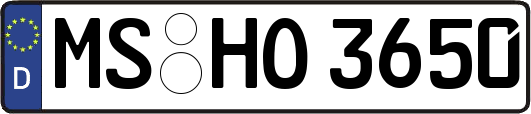 MS-HO3650
