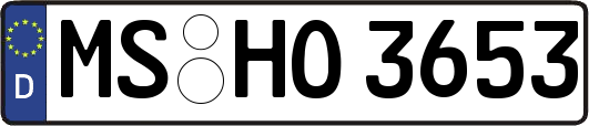 MS-HO3653