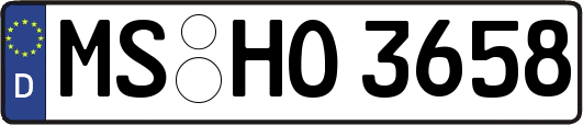MS-HO3658