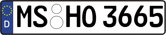 MS-HO3665
