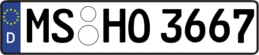 MS-HO3667