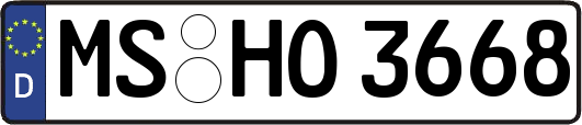 MS-HO3668