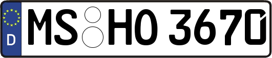 MS-HO3670