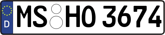 MS-HO3674