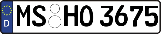 MS-HO3675