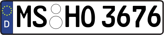MS-HO3676