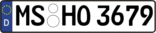 MS-HO3679