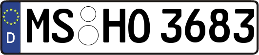 MS-HO3683
