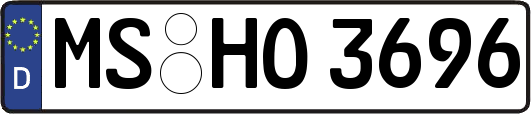 MS-HO3696