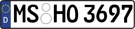 MS-HO3697