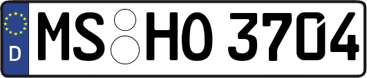MS-HO3704