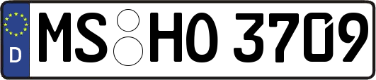 MS-HO3709