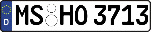 MS-HO3713