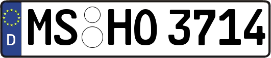 MS-HO3714