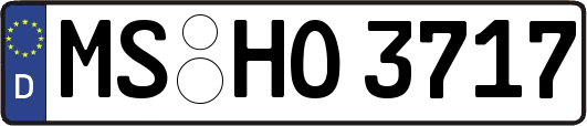 MS-HO3717