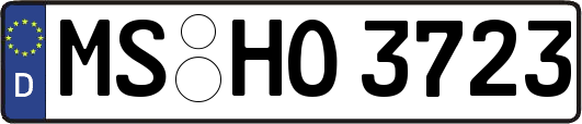 MS-HO3723