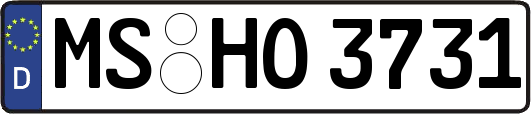 MS-HO3731