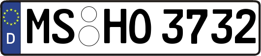 MS-HO3732