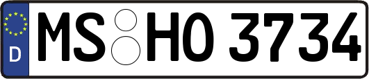 MS-HO3734