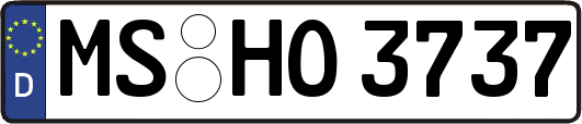 MS-HO3737