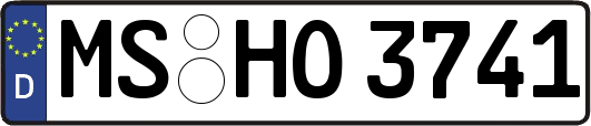 MS-HO3741