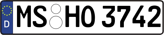 MS-HO3742