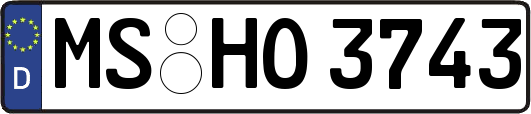 MS-HO3743