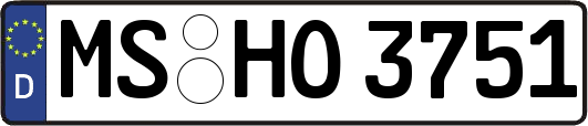 MS-HO3751