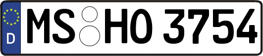 MS-HO3754
